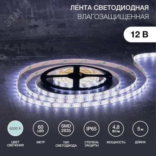 Лента светодиодная 4.8Вт/м 12В 6500K IP65 LEDx60/м 5м SMD2835 — фото изделия