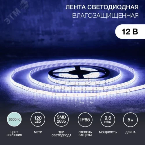 Лента светодиодная 9.6 Вт/м 12В 6500K IP65 LEDx120/м 5м SMD2835 — фото изделия