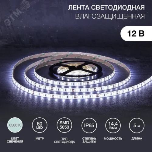 Лента светодиодная 14.4Вт/м 12В 6500K IP65 LEDx60/м 5м SMD5050 для блока питания с клеммами — фото изделия