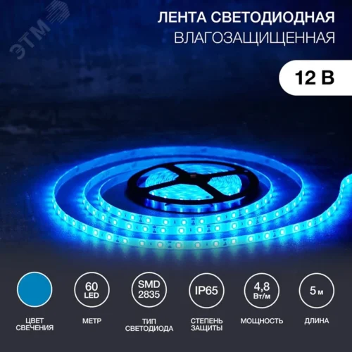 Лента светодиодная 4.8Вт/м 12В синий IP65 LEDx60/м 5м SMD2835 — фото изделия
