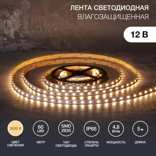 Лента светодиодная 4.8Вт/м 12В 3000K IP65 LEDx60/м 5м SMD2835 — фото изделия