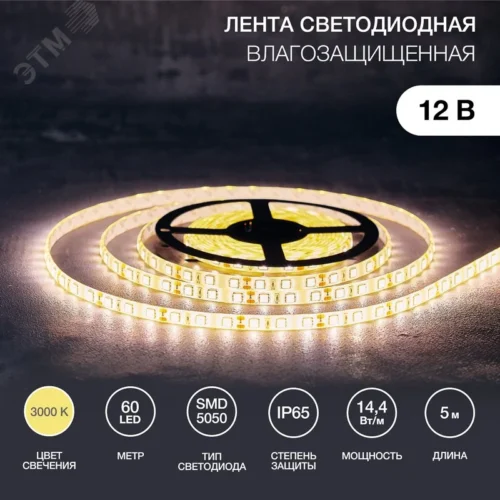 Лента LED силикон, 10 мм, IP65, SMD 5050, 60 LED/m, 12 V, цвет свечения теплый белый — фото изделия