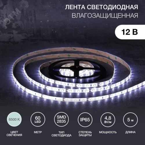 Лента светодиодная 4.8Вт/м 12В 6500K IP65 LEDx60/м 5м SMD2835 для блока питания с клеммами — фото изделия
