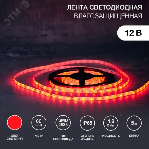 Лента светодиодная 4.8Вт/м 12В красный IP65 LEDx60/м 5м SMD2835 — фото изделия